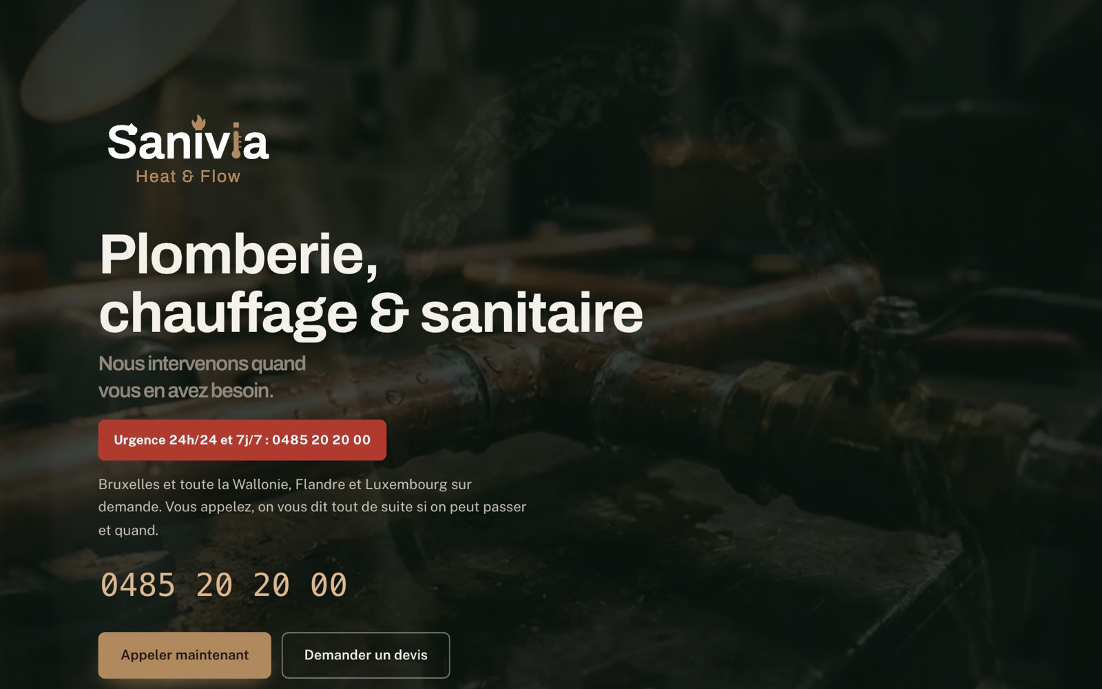 La page d’accueil du site de Sanivia, telle qu’elle est en ligne.